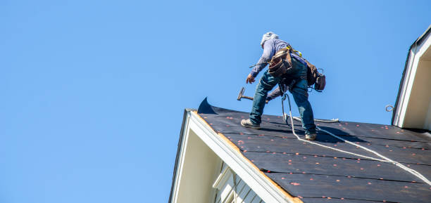 Best Storm Damage Roof Repair  in Bear Creek, FL
